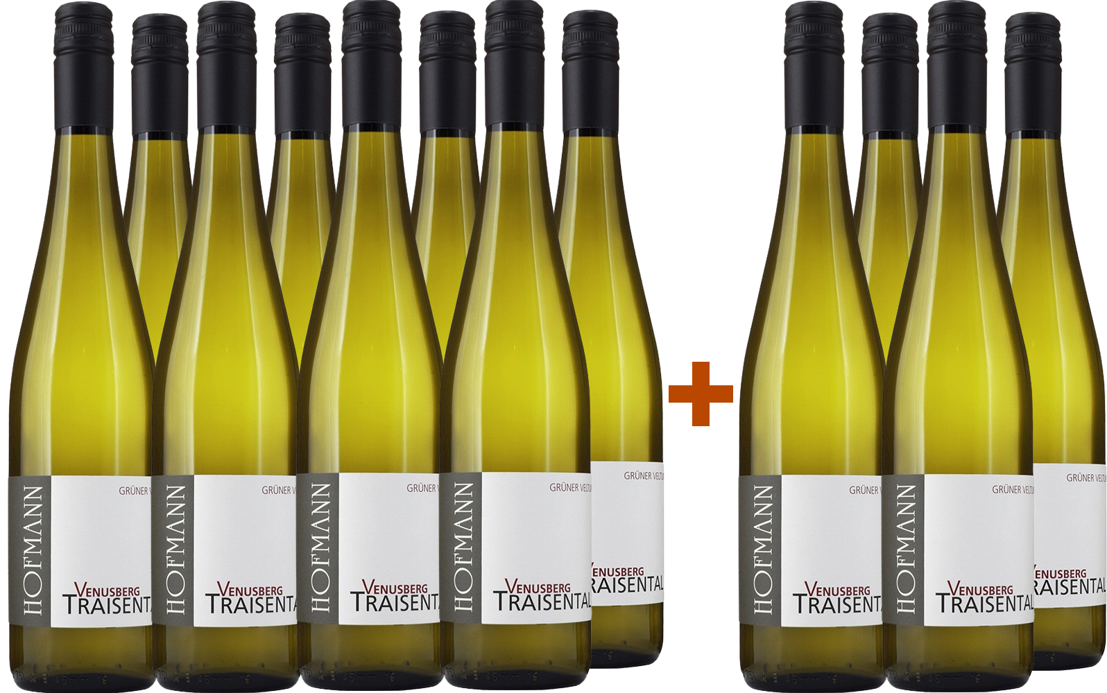 8+4 Paket Grüner Veltliner Venusberg Traisental DAC BIO BIO