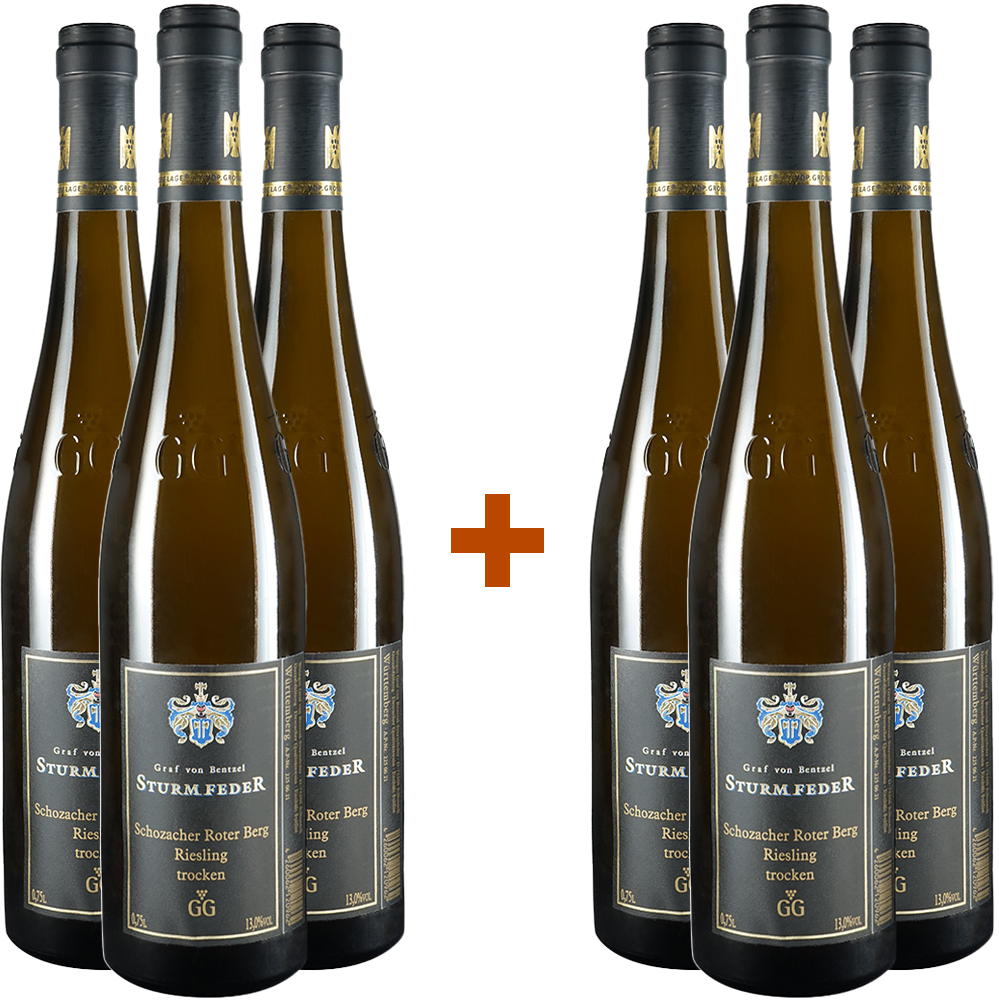 3+3 Paket 2019 Riesling Großes Gewächs trocken