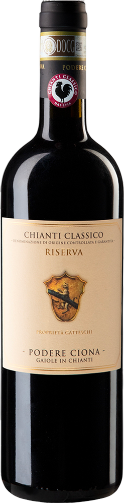 2013 Chianti Classico Riserva DOCG