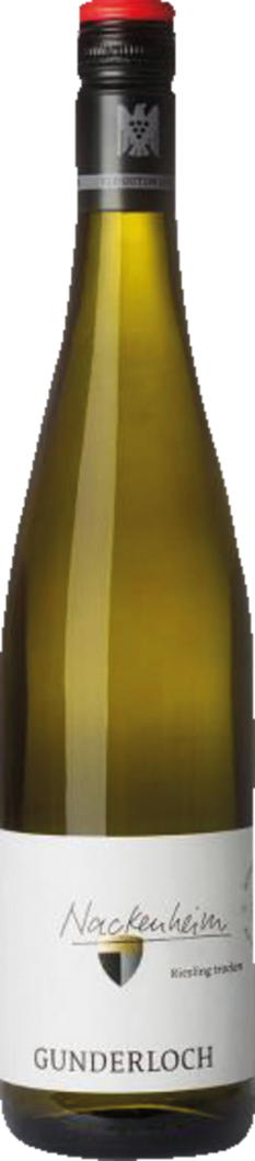 2022 Nackenheim Riesling Erste Lage BIO
