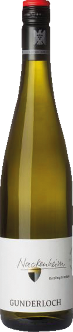 2025 Nackenheim Riesling Erste Lage BIO