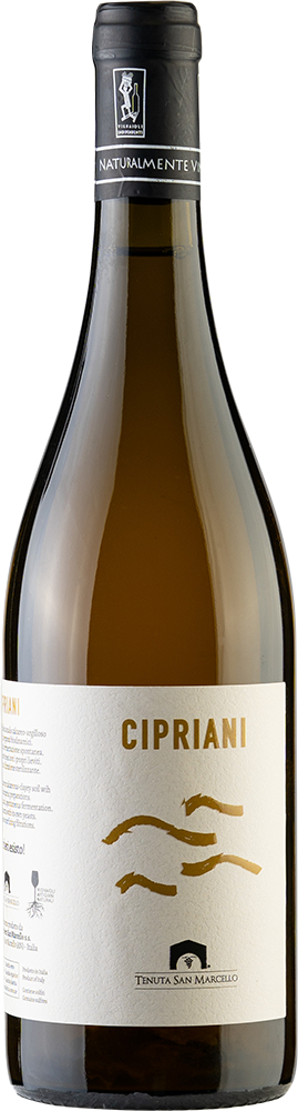 2025 Cipriani BIO
