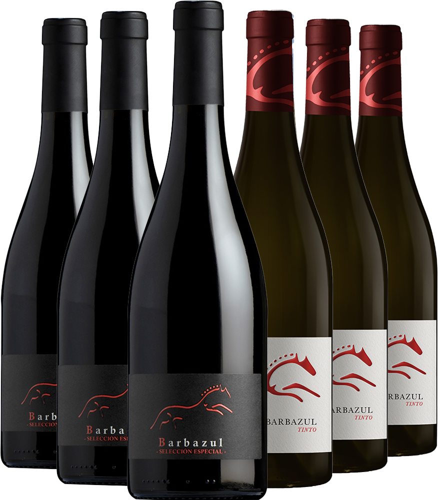 Huerta de Albalá Rotwein Kennenlern-Paket Cádiz VT