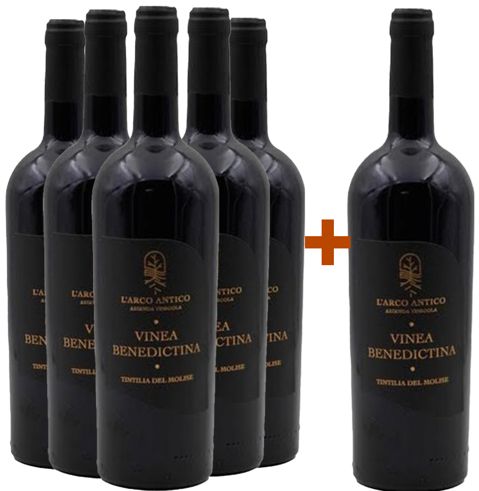 5+1 Paket Vinea Benedictina Tintilia del Molise DOC