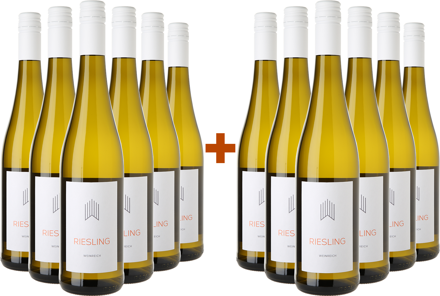 6+6 Paket Riesling BIO