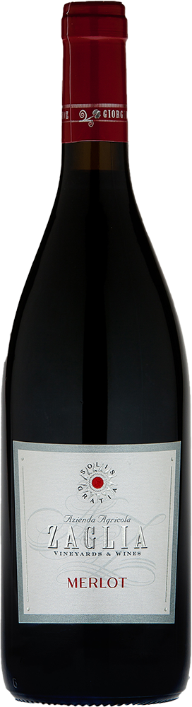2025 Merlot Friuli DOC