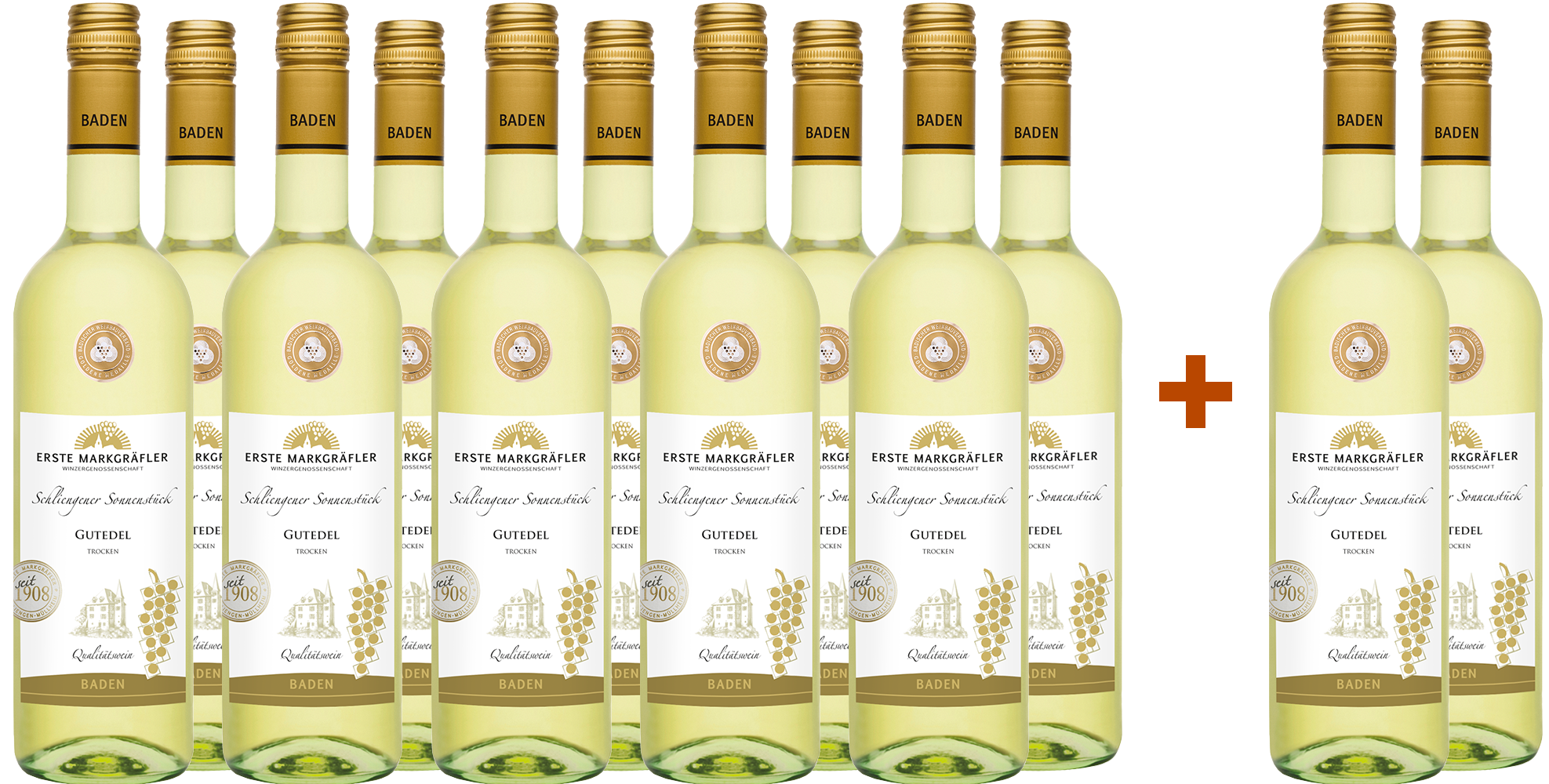 10+2 Paket Schliengener Sonnenstück Gutedel