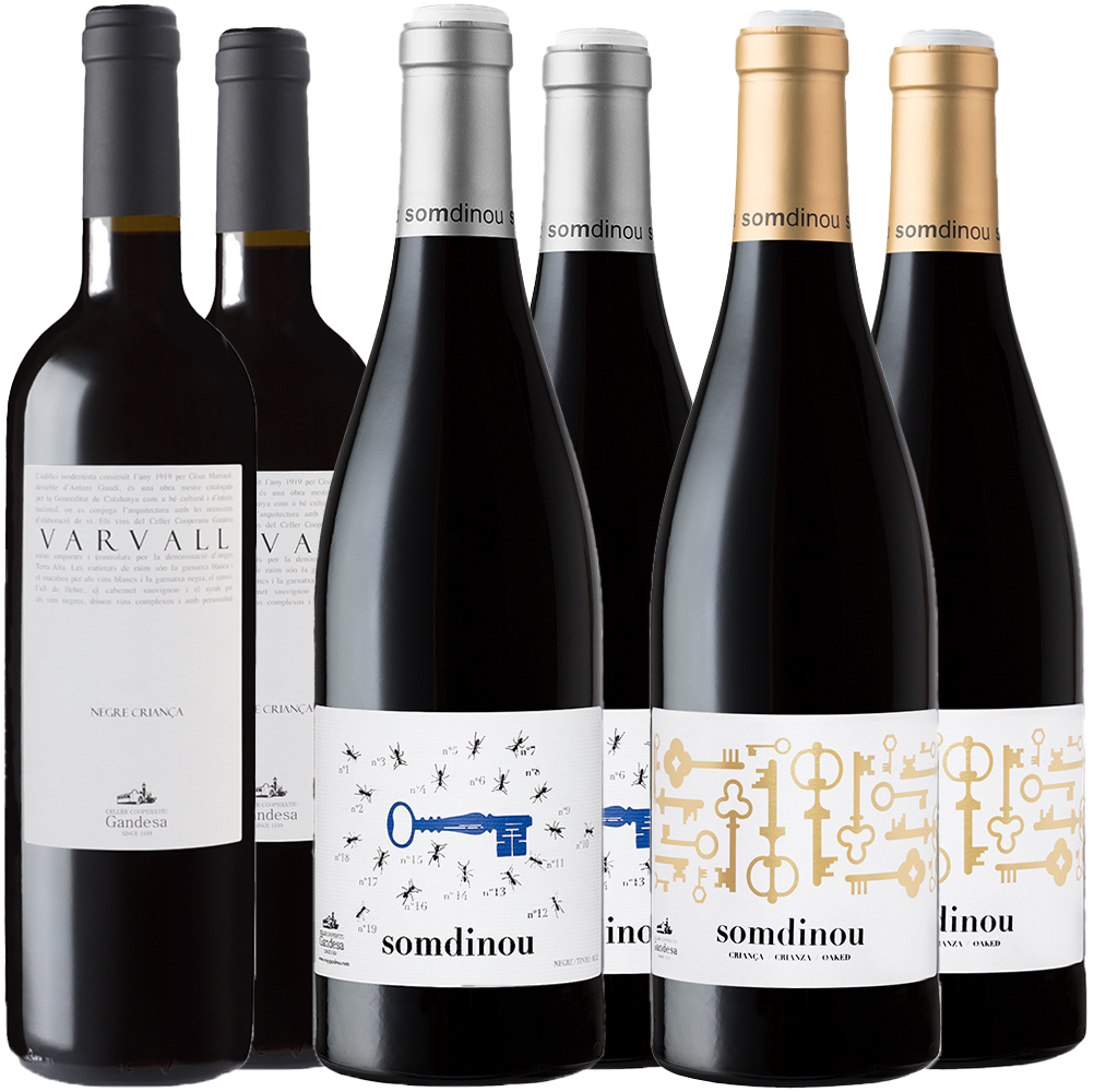 Cooperativa de Gandesa Rotwein Kennenlern-Paket BIO