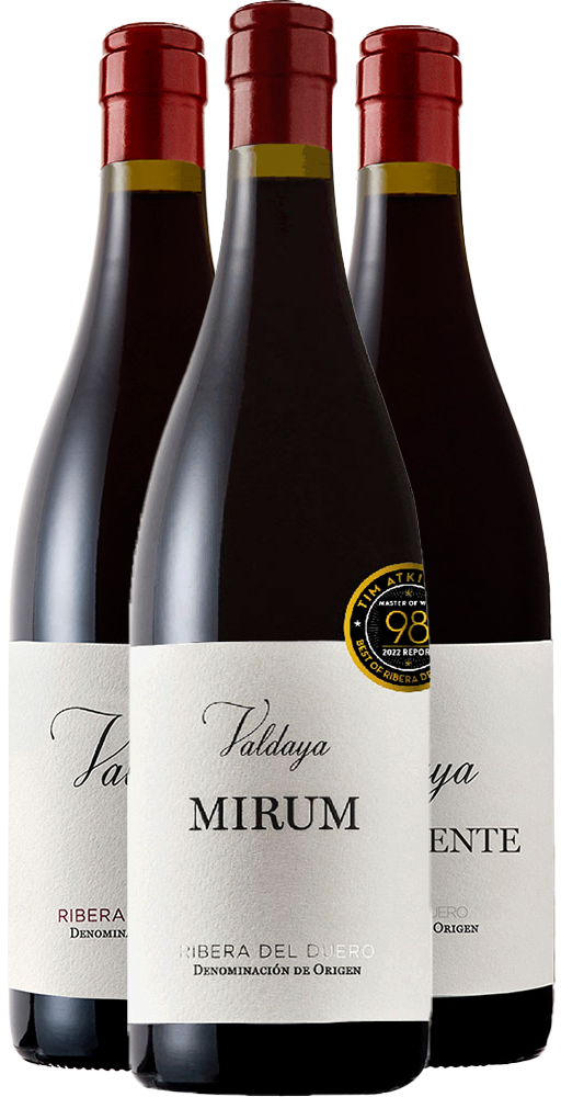 Kennenlernpaket Valdaya Ribera del Duero DO