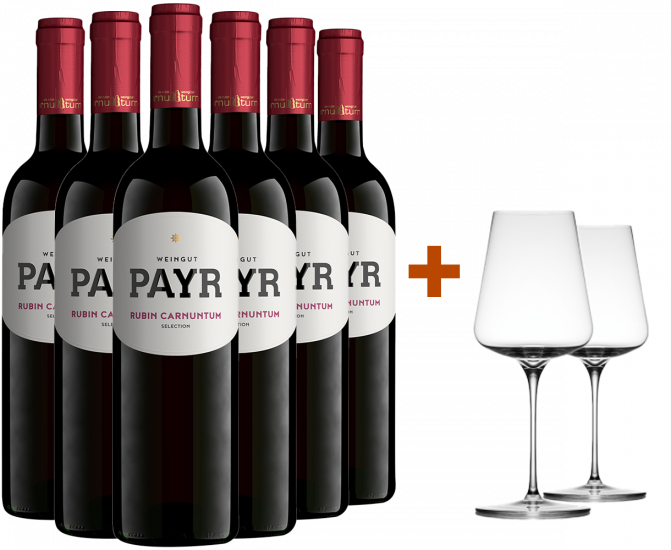 Zweigelt Rubin Carnuntum DAC ÖTW Gebietswein trocken Bio + 2 GRATIS Weingläser von UNO Glassworks Bio - Weingut Payr