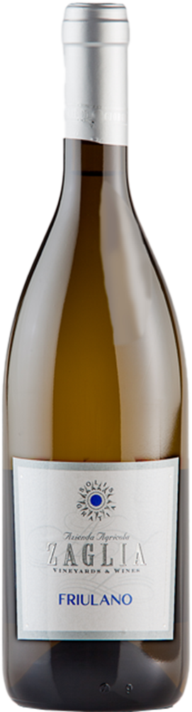 2025 Friulano Friuli DOC