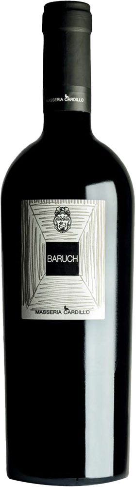 2023 Baruch Matera DOC