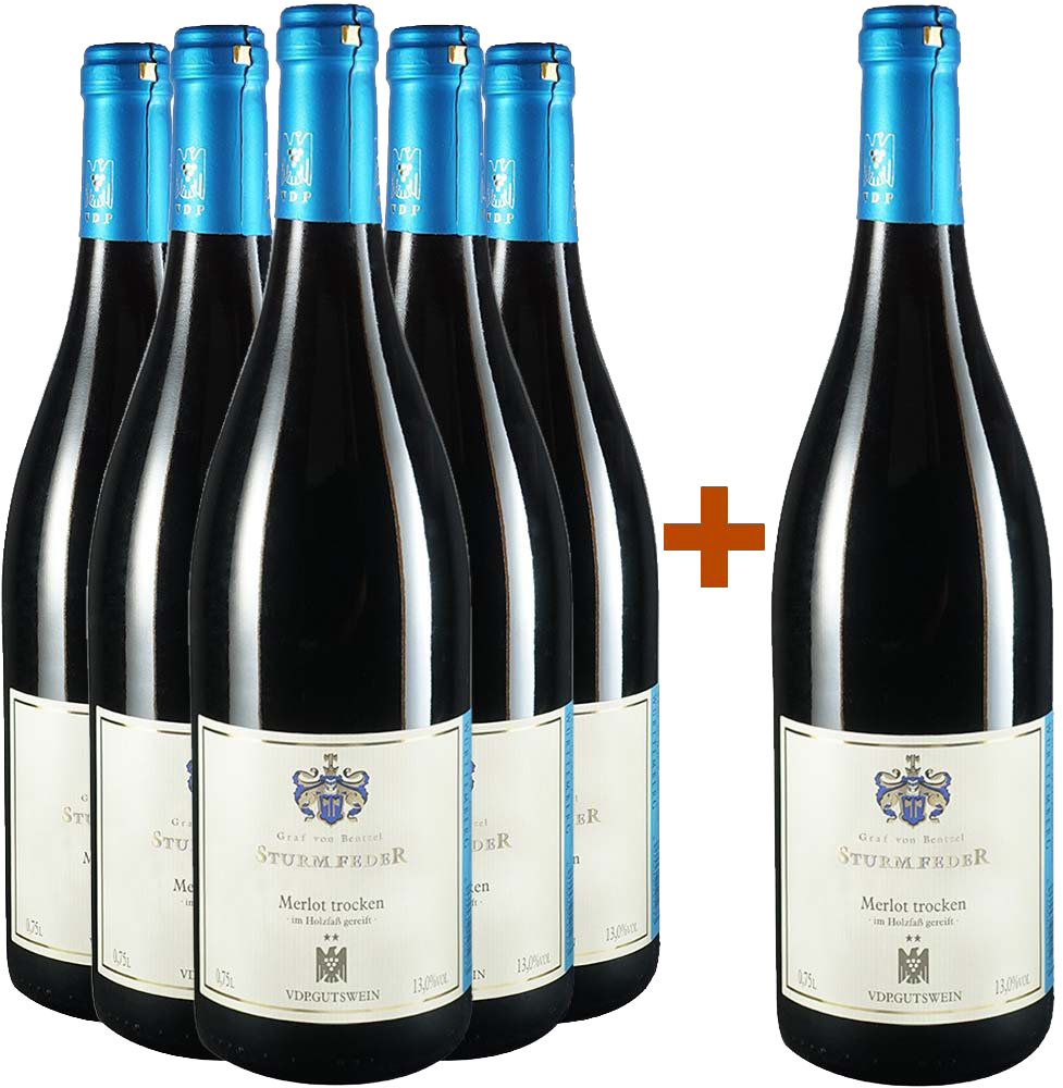 5+1 Paket Schozach Merlot ** trocken