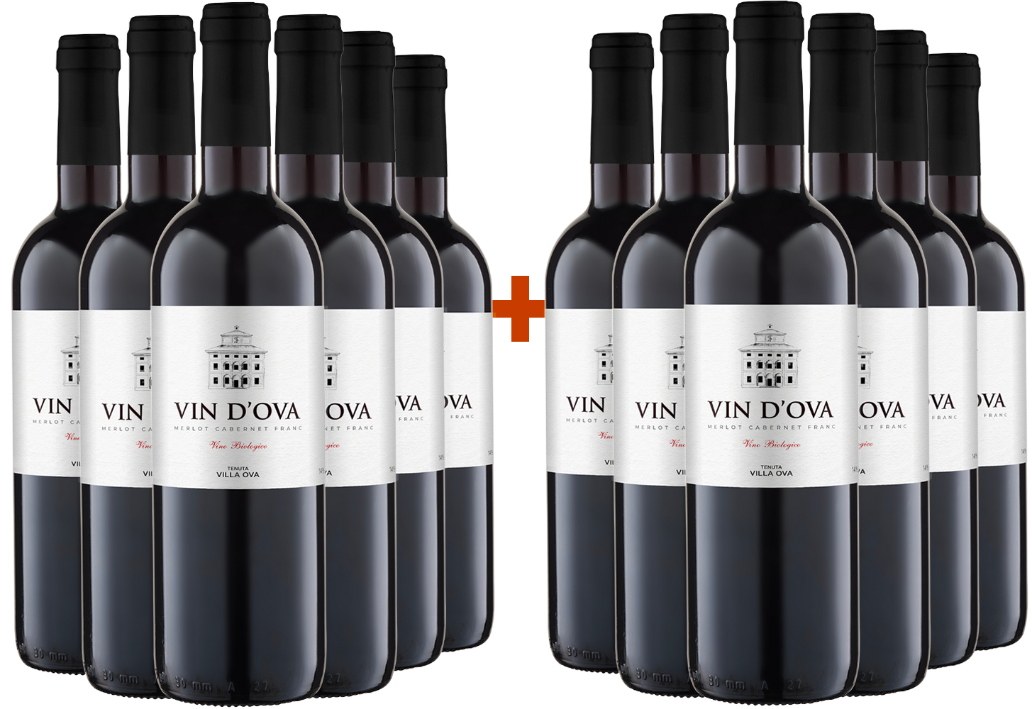 6+6 Paket Vin d'Ova