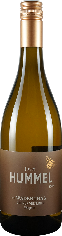 2025 Grüner Veltliner Ried Wadenthal BIO