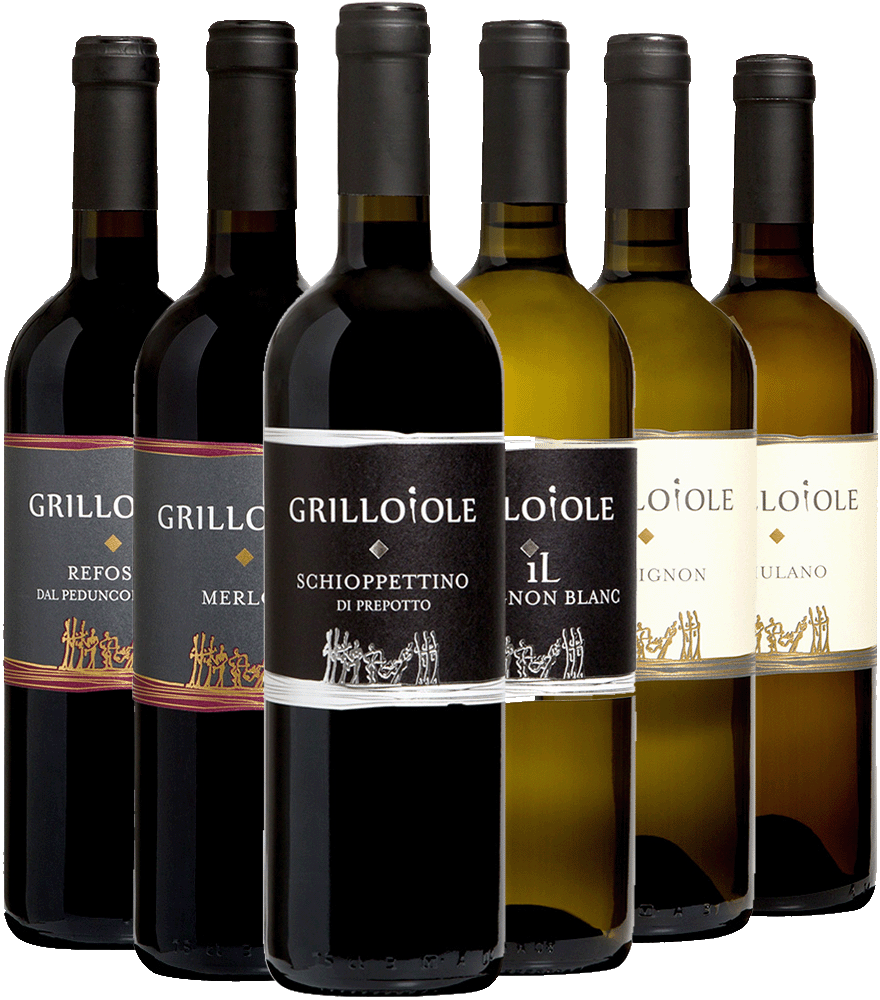 Grillo Iole Kennenlern-Paket