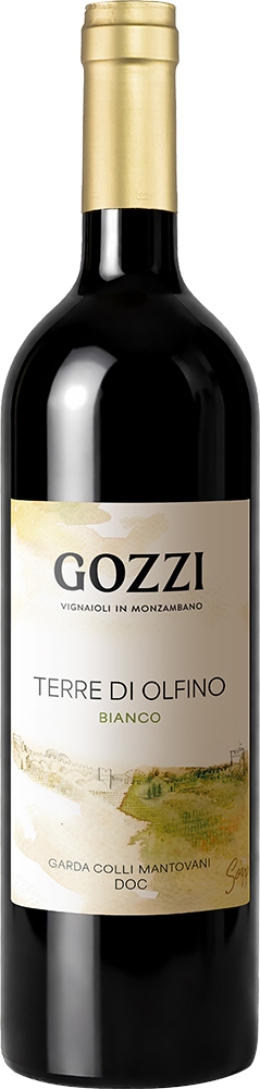 2025 Bianco Terre Di Olfino Garda Colli Mantovani DOC