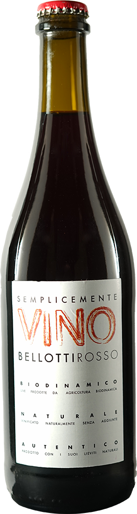2024 Semplicemente Vino Bellotti Rosso Cuvée BIO