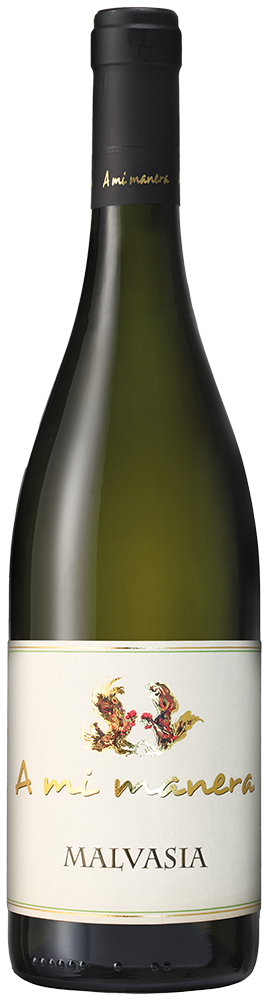 Malvasia Veneto IGP