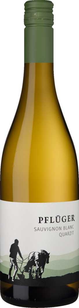 2025 Pflüger Sauvignon Blanc vom Quarzit BIO