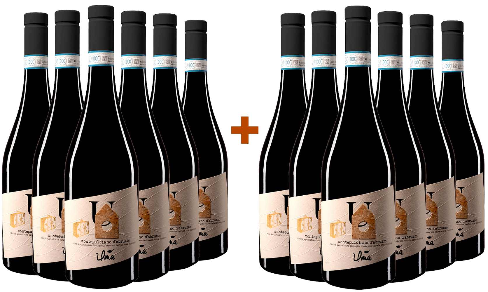 Montepulciano DOC Paket BIO