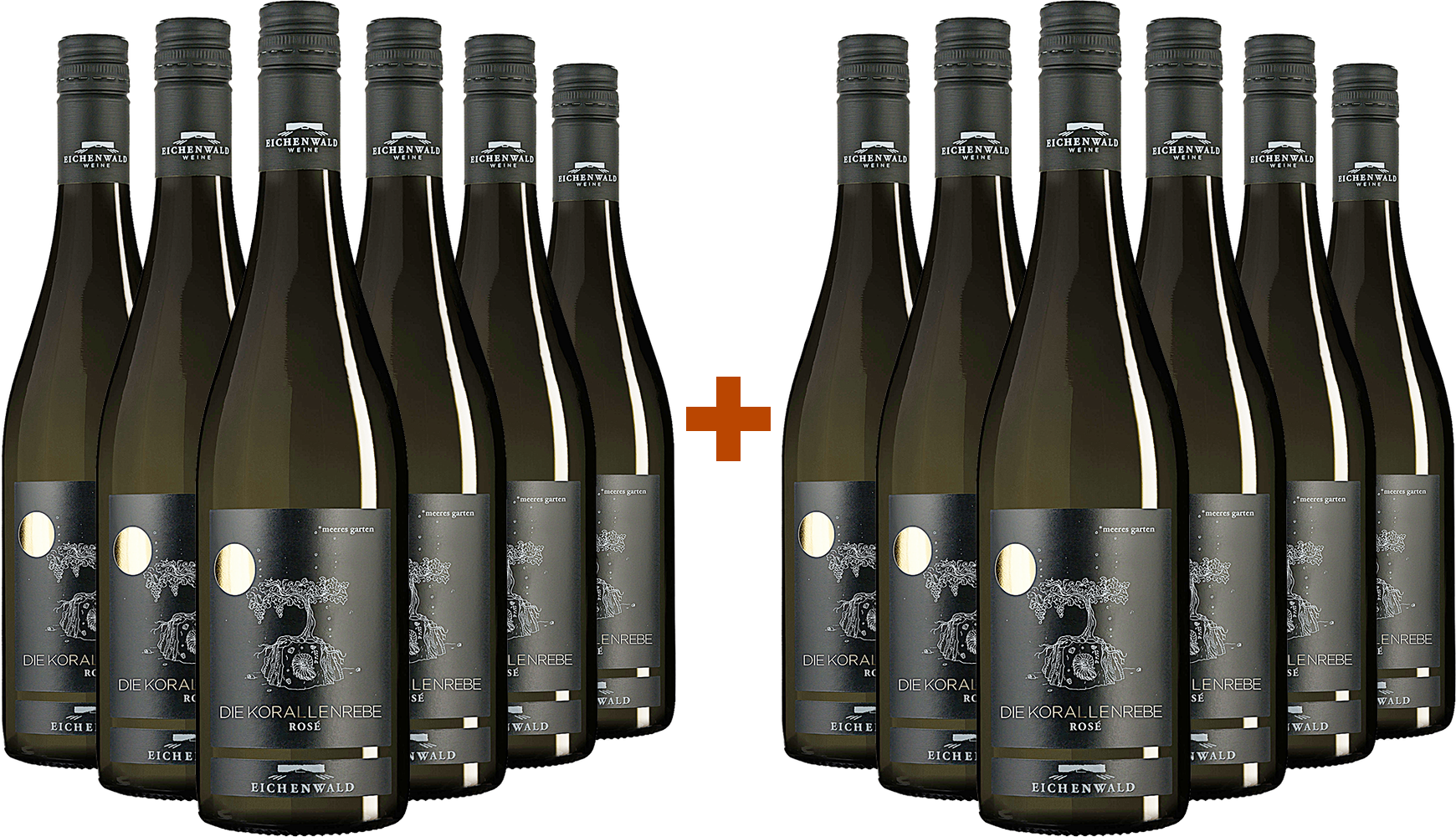 6+6 Paket 2024 Die Korallenrebe Rosé