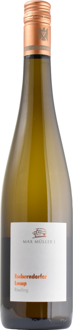 2023 Escherndorfer Lump Riesling Erste Lage