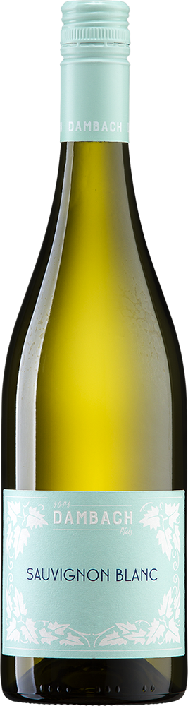 2025 Sauvignon Blanc BIO