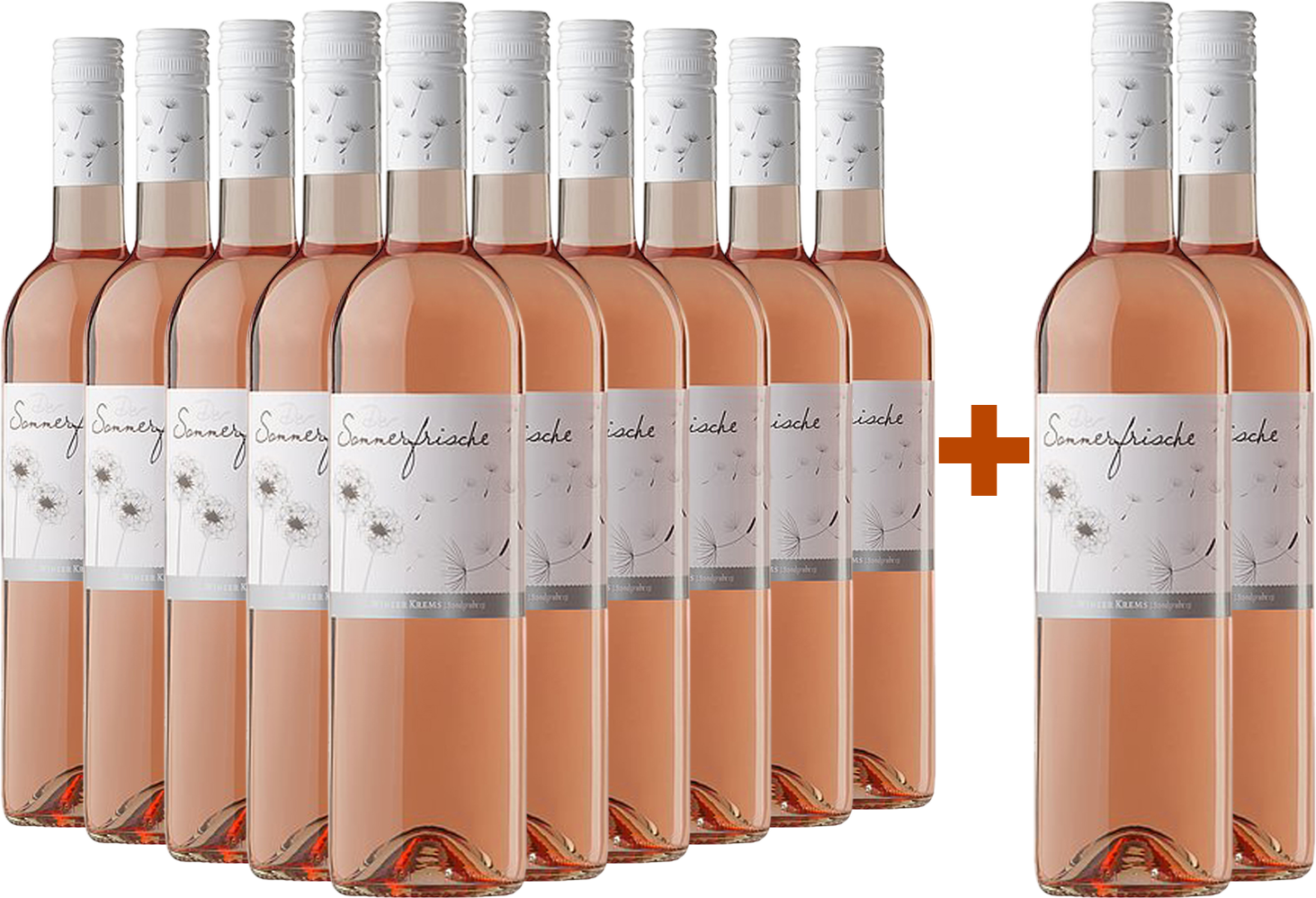 10+2 Paket DER Sommerfrische Rosé