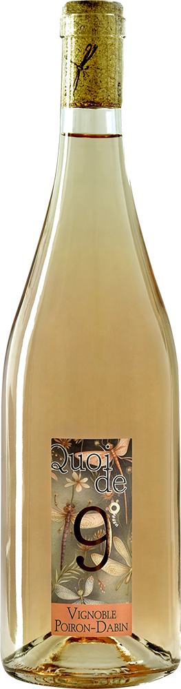 2024 Cuvée "Quoi de 9°" Val de Loire IGP