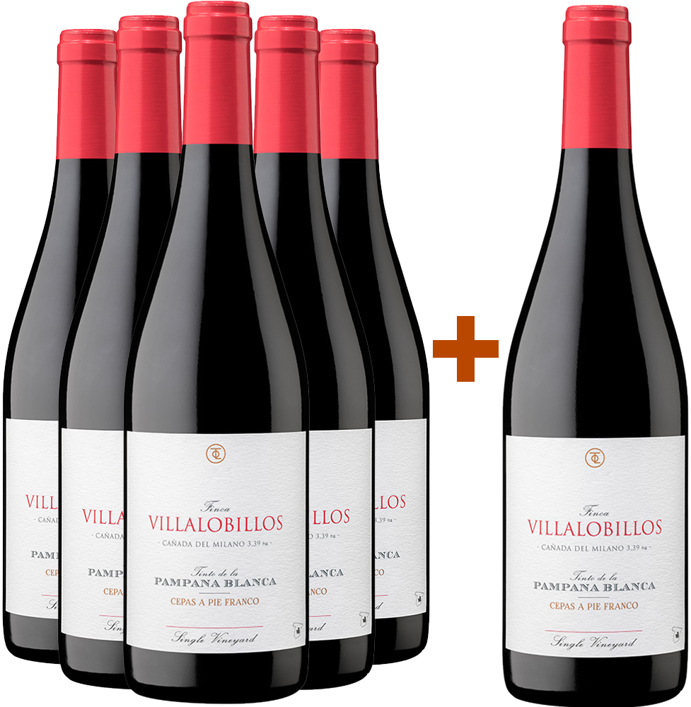 Aktionspaket 5+1 Finca Villalobillos Tinto Pampana Blanca Castilla VT