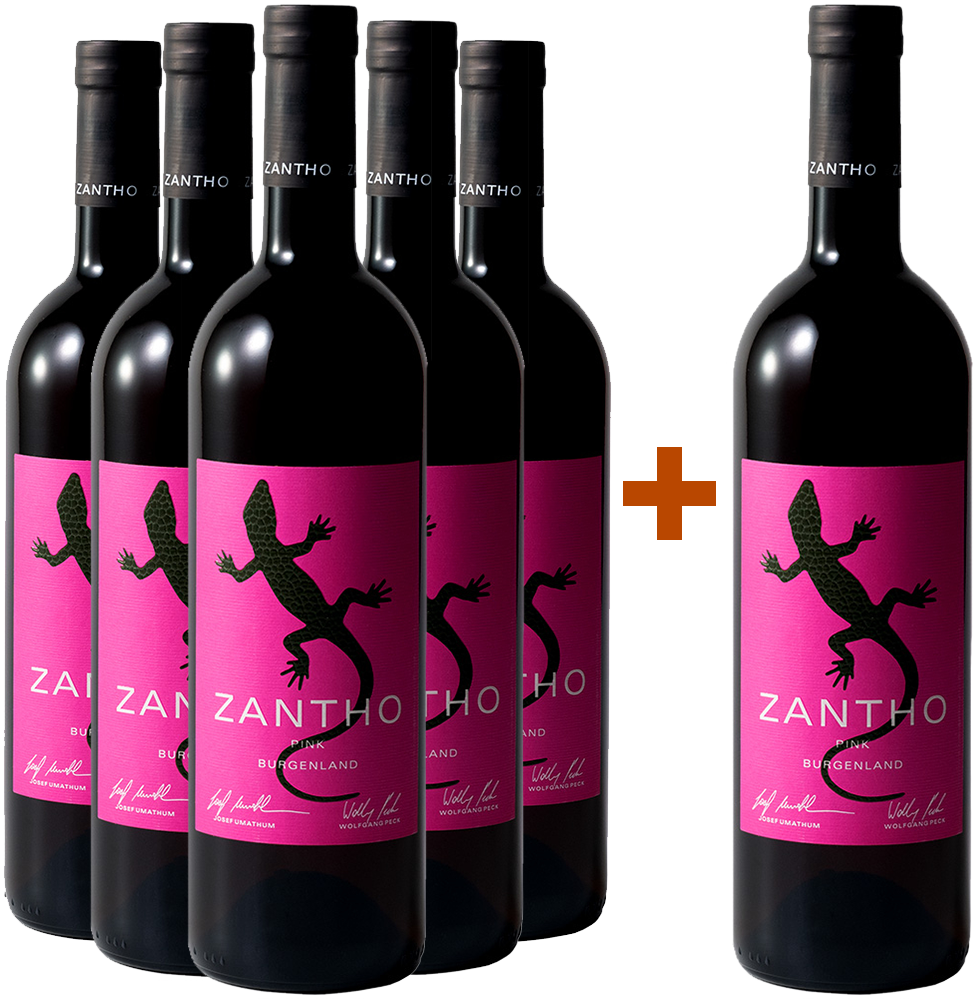 5+1 Paket Pink