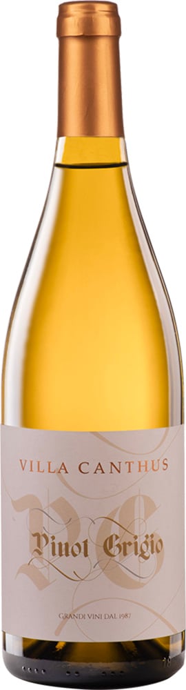 2022 Pinot Grigio Delle Venezie DOC