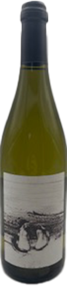 2023 Chardonnay