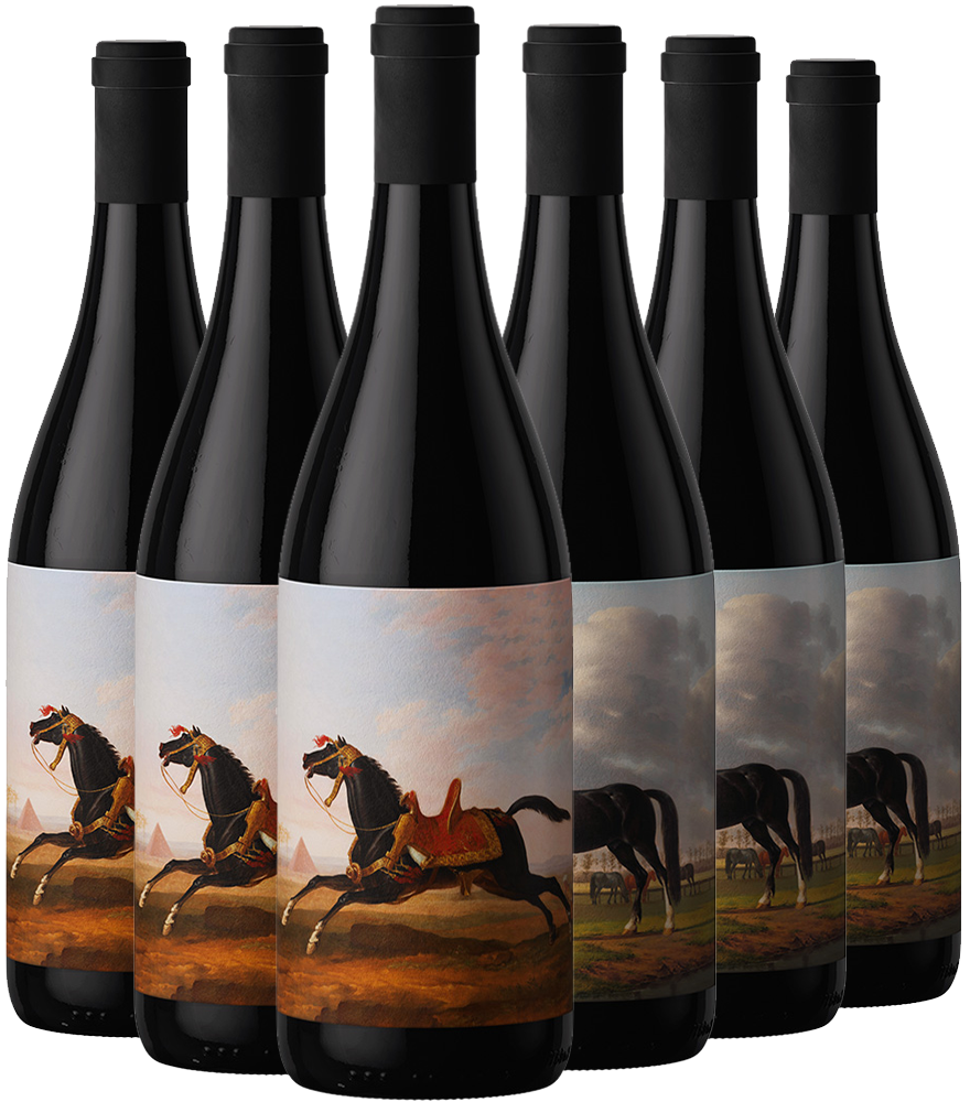 AllBlack Wines Probierpaket