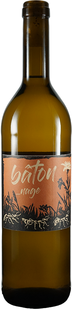 2024 Bâtonnage Solaris BIO