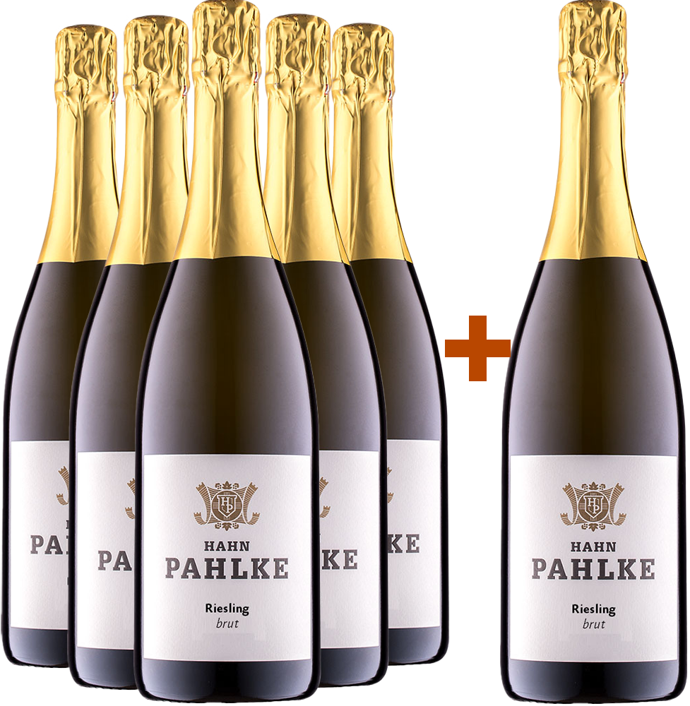 5+1 Paket Riesling Sekt BIO BIO