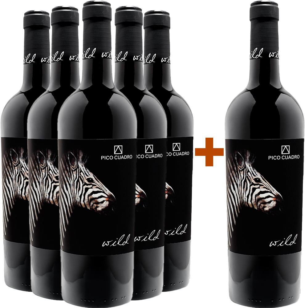 5+1 Aktionspaket Wild Ribera del Duero DO