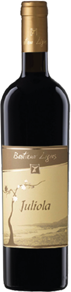 2018 Juliola Bianco Isola dei Nuraghi IGP