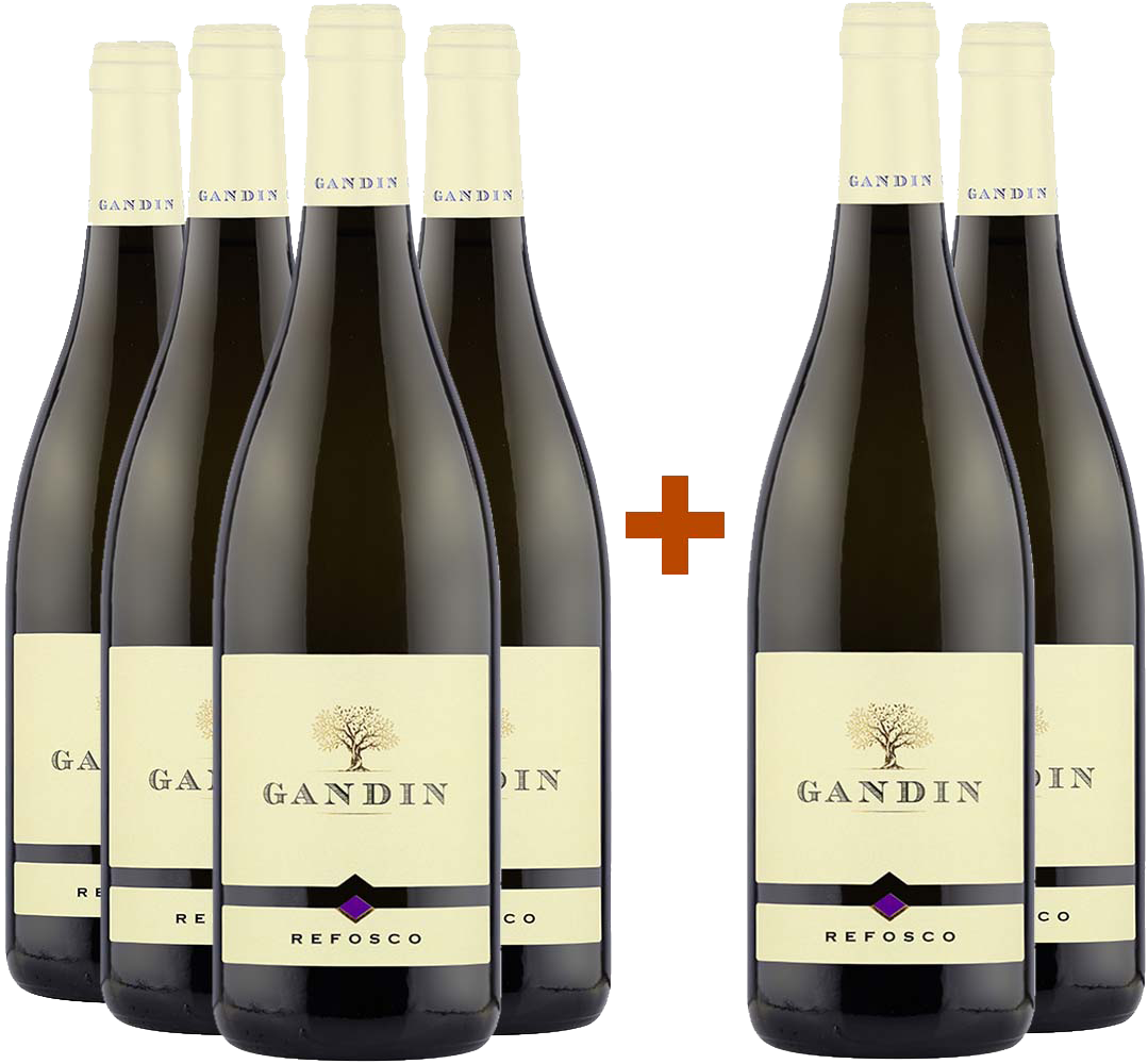 4+2 Paket Refosco dal Peduncolo Rosso Friuli Isonzo DOC