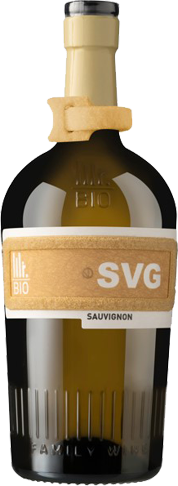 2021 Sauvignon Friuli DOC BIO