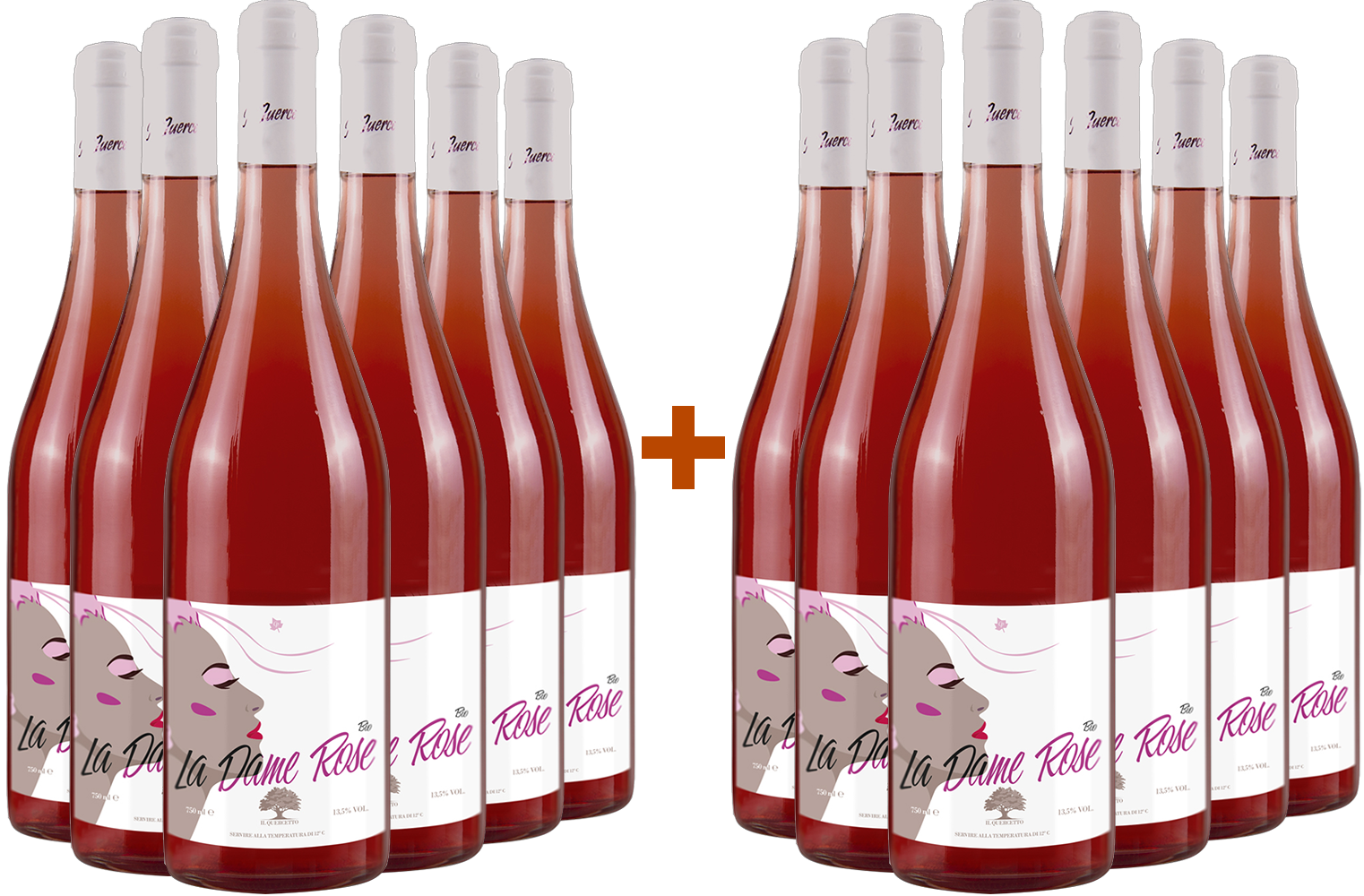 6+6 Paket La Dame Rose BIO