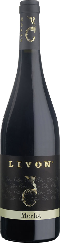 2021 Merlot Collio Goriziano DOC