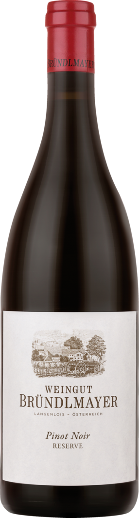 2020 Bründlmayer Pinot Noir Reserve