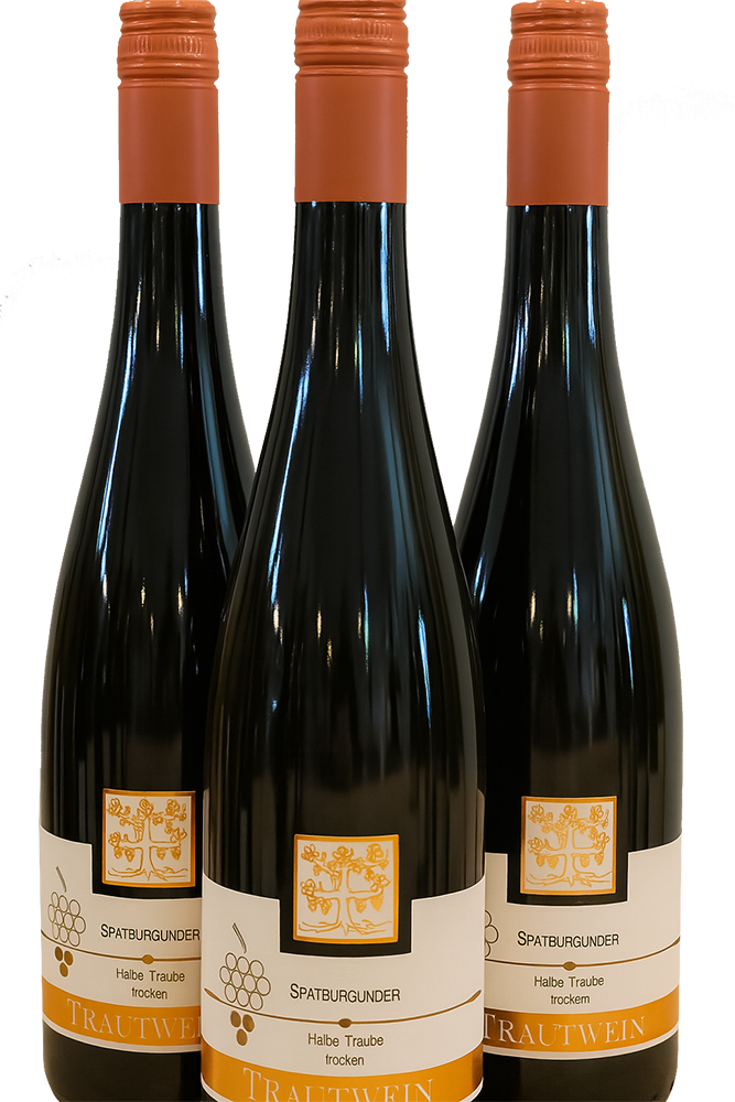 2022 Spätburgunder -halbe Traube- Rotwein