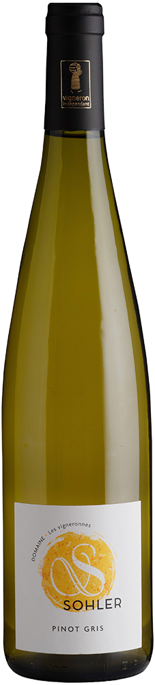 2023 Pinot Gris Alsace AOP BIO
