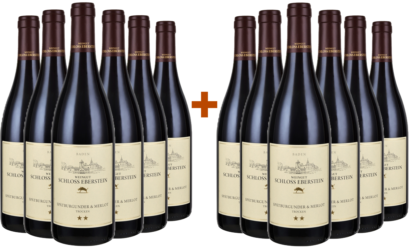 6+6 Paket Spätburgunder & Merlot **