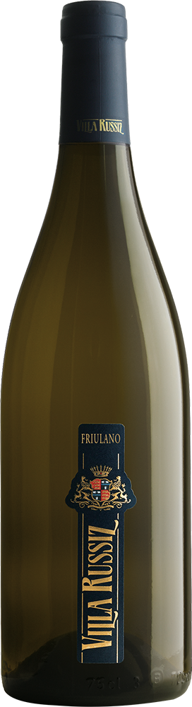 2024 FRIULANO