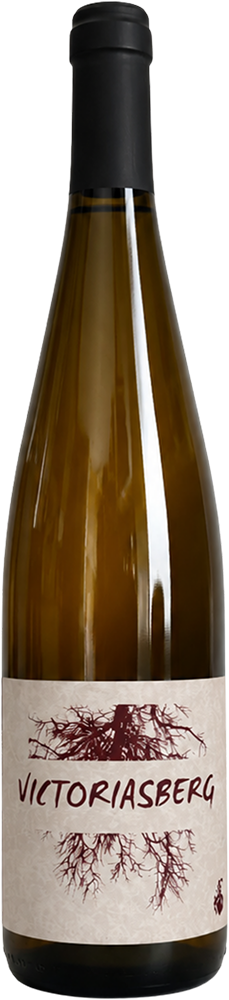 2023 Pinot Noir Victoriasberg