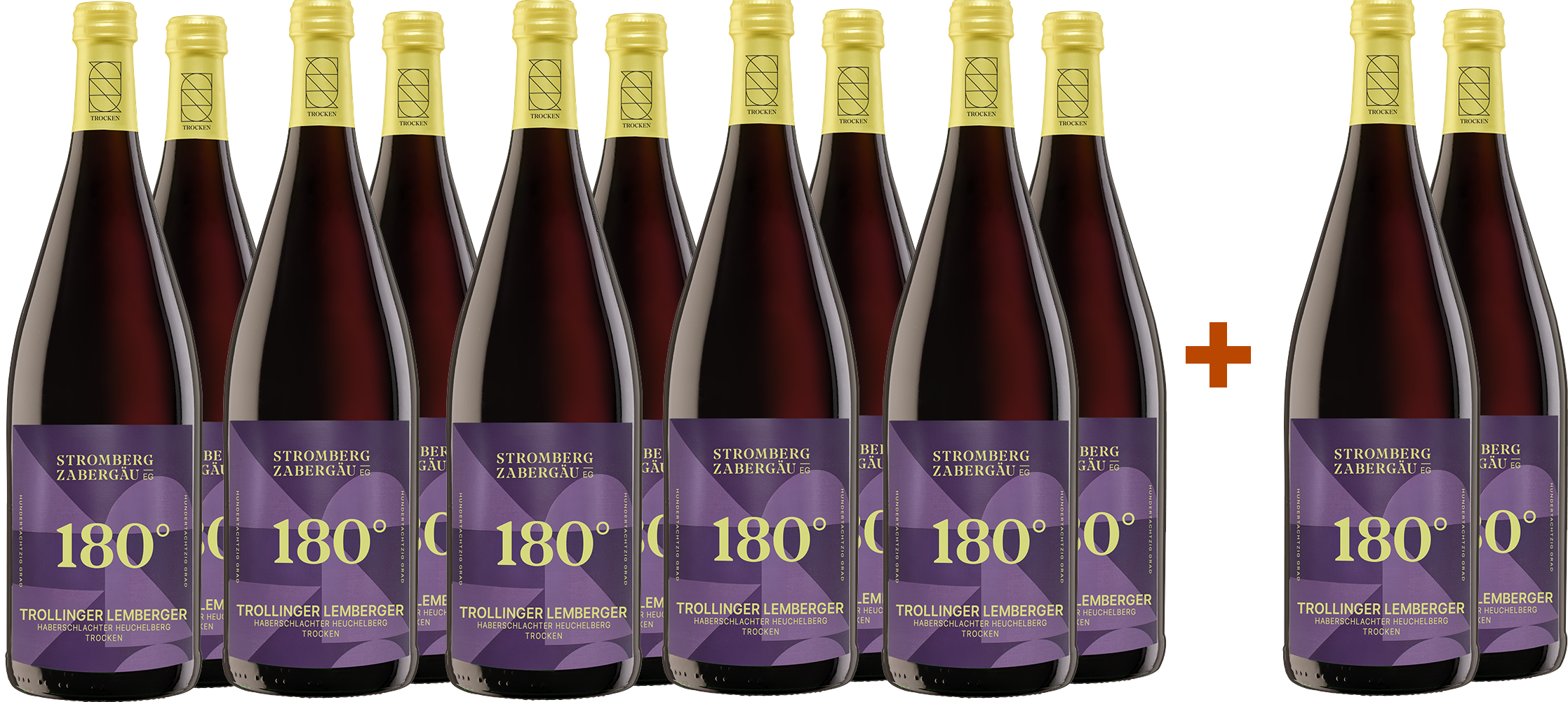 10+2 AKTION 1,0L Trollinger/Lemberger